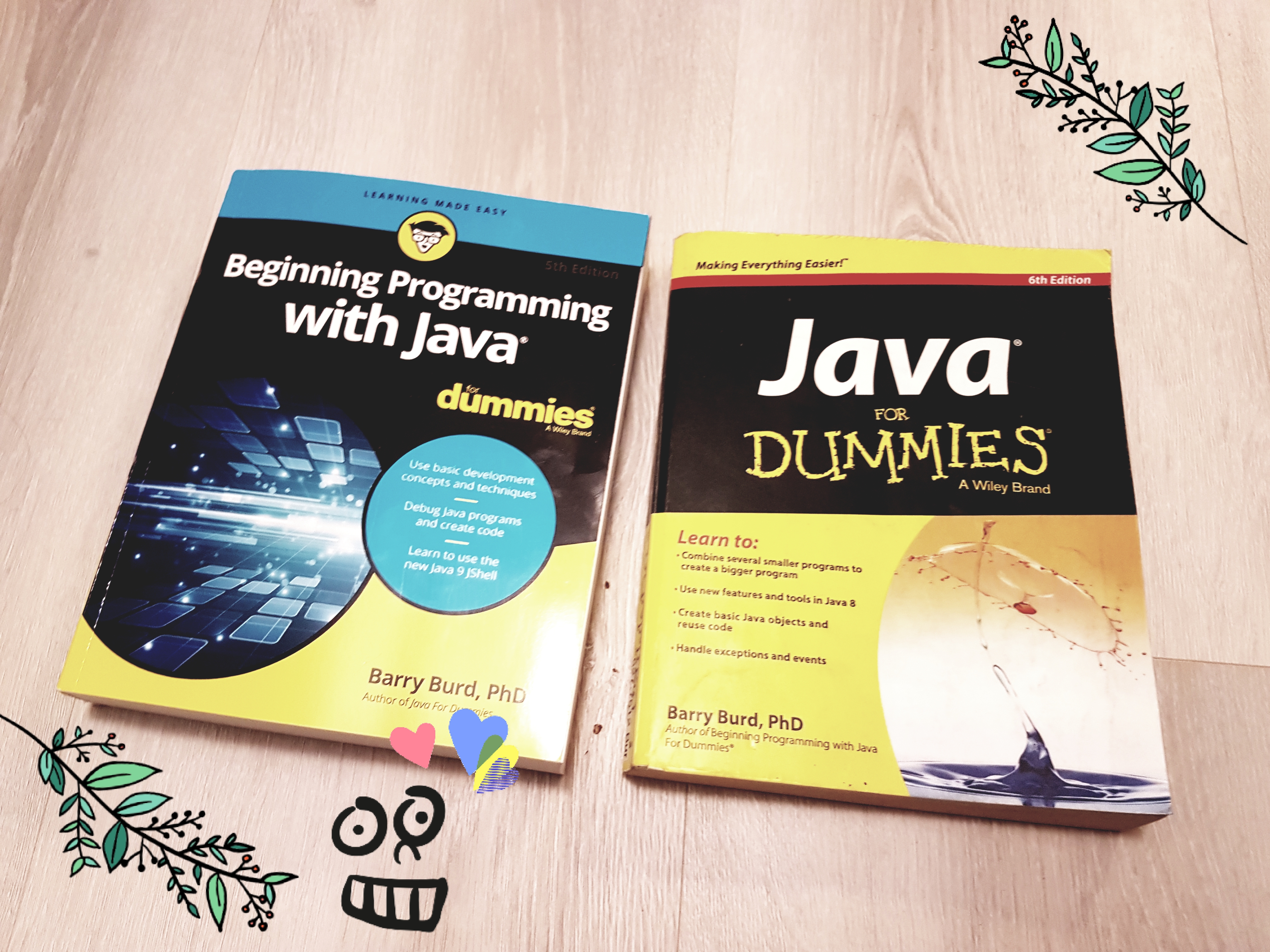 Kirjat, joiden tarkoitus on opettaa n00b koodaamaan: Barry Burdin Beginning Programming with Java for dummies ja Java for dummies!